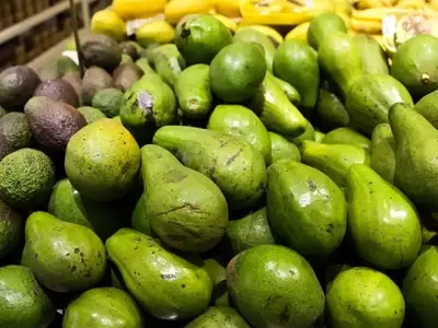 A Influência da Certificação na Qualidade dos Hortifrútis Brasileiros