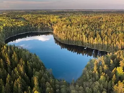 Finlândia: A Líder Mundial em Densidade Florestal