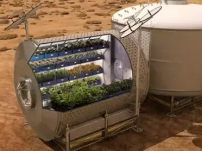 Colheita Espacial: Alface Cultivada no Cosmos Abre Novos Horizontes para Exploração Espacial