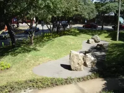 Uma Jornada Sustentável com o Renomado Arquiteto Alberto Negrini