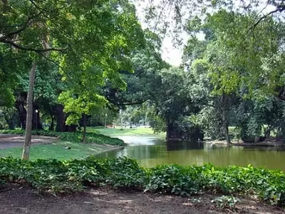 Jardins Tropicais: A Evolução do Paisagismo no Rio de Janeiro