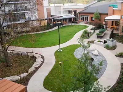 Jardins Terapêuticos: Oásis de Cura para Pacientes com Alzheimer