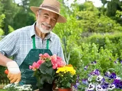 Cultivando a Felicidade: O Poder Transformador do Jardim