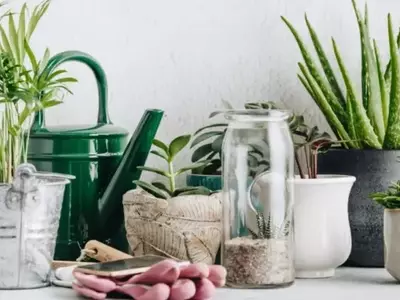 Transforme Seus Vasos Comuns em Elegantes Cachepôs