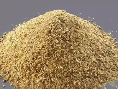 Farinha de Osso: O Adubo Orgânico Poderoso para Plantas Saudáveis