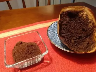 Transforme Seus Resíduos de Café em Adubo Nutritivo para Suas Plantas