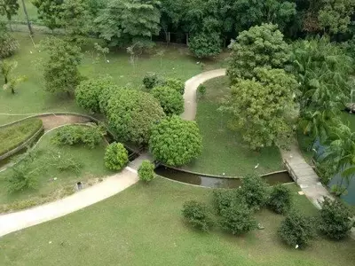 Entendendo os Diferentes Níveis de Luz para Plantas: Uma Jornada Iluminadora