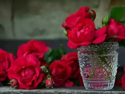 As Rosas: A Flor do Amor Eterno
