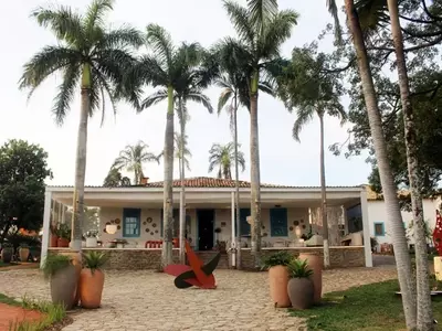 Abraçando a Natureza: Como a Biofilia Transforma Ambientes Urbanos