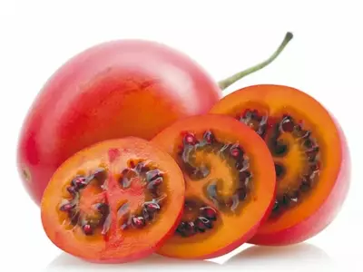 O Tomate-de-Árvore: A Estrela Esquecida da Culinária Brasileira