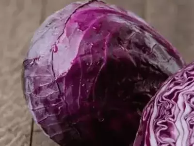 O Poder Púrpura: Explorando os Benefícios do Repolho Roxo