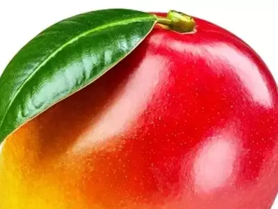 A Ascensão da Manga: Impulsionando a Economia Agrícola Paulista
