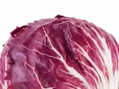 Radicchio: O Tesouro Culinário Italiano que Conquista Paladares Brasileiros