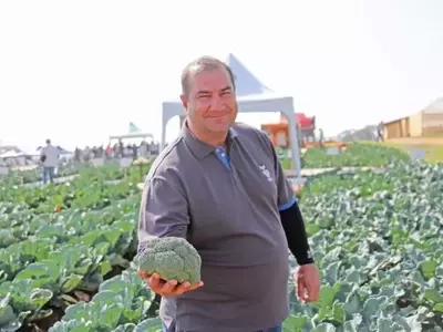 Bejo Sementes: Liderança Global em Sementes de Hortaliças Brilha na Hortitec 2025