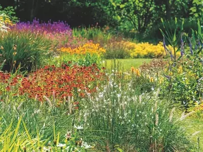 Jardinagem Naturalista: Guia para um Oásis Biodiverso