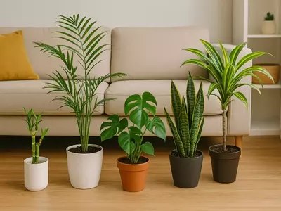 As Melhores Plantas para Iniciantes: Guia Completo para um Jardim Doméstico Vibrante