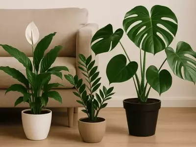 Florescimento no Inverno: Plantas que Prosperam no Frio