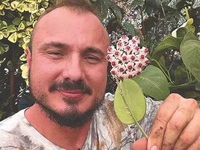 Descubra o Mundo Verde: Guia Completo de Plantas Ornamentais