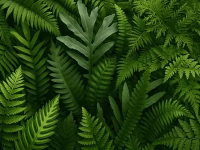 Descubra a Diversidade das Samambaias: Um Guia Completo para Paisagistas