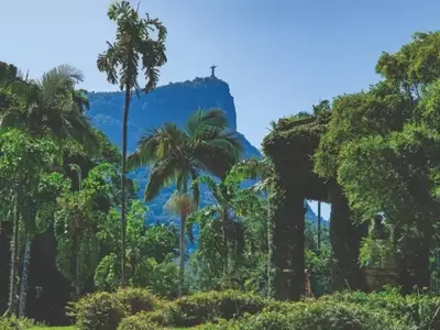 Jardins Botânicos: Oásis de Conhecimento e Preservação