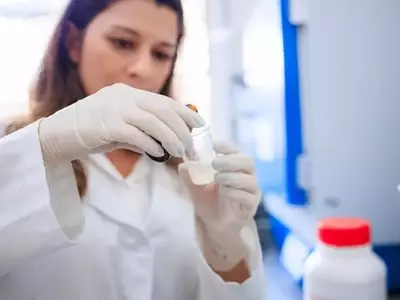 Inovação Científica: Nanofibras com Óleo de Capim-Limão Revolucionam Antitranspirantes