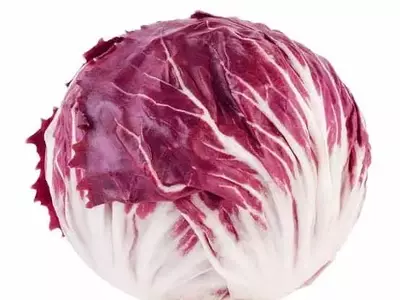 Radicchio: Um Tesouro Nutricional na Sua Cozinha