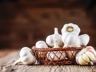 Cascas de Alho: Um Novo Aliado na Proteção Agrícola Contra Nematoides
