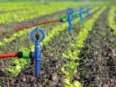 Aspersores Plasbohn: Inovação e Eficiência em Irriga￧￣o Agrícola