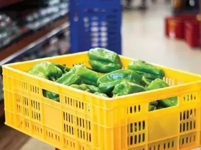 PLC Distribuidora: Inovação e Sustentabilidade em Embalagens para Hortifrúti