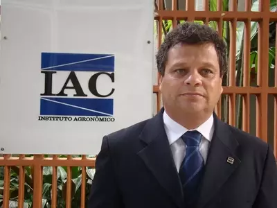 Novos Protocolos de Manejo para a Podridão da Uva Madura Serão Lançados em Dezembro