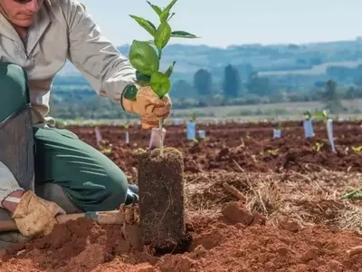 Citrosuco estende período de inscrição para o programa "Nutrir +"