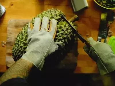 A Jaca Recorde: Uma Gigante Cultivada na Flórida que Quebra Barreiras