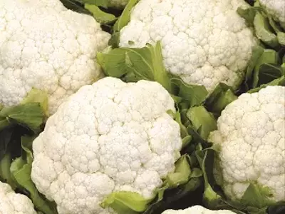 Estratégias Essenciais para o Cultivo Otimizado da Couve-Flor