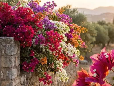 Desvendando a Primavera: A História Inesperada e o Segredo de Suas Cores Vibrantes
