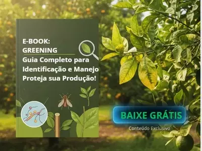 Manejo e Prevenção do Greening na Citricultura: Um Guia Abrangente
