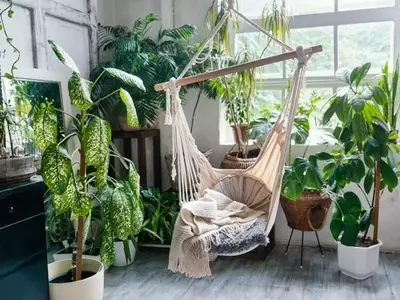 Transforme Seu Lar em um Refúgio Verde: O Encanto da Tendenza Urban Jungle