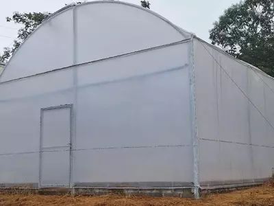 Nova Infraestrutura Impulsionará Cultivo de Mandioca em Tocantins