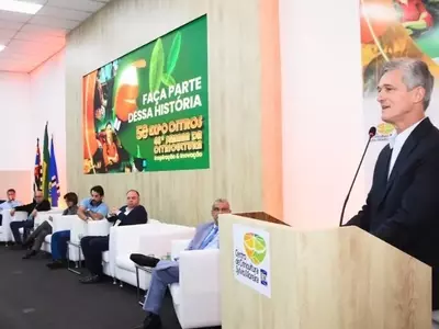 A Citricultura Brasileira Traça Novas Rotas para o Mercado Global