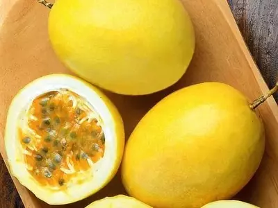 Cultivo Doméstico em Março: Orientações para Revigorar sua Horta