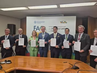 Parceria Brasil-Equador para Bananas Mais Fortes: Pesquisa de Variedades Resistentes a Doenças