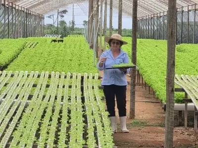 Glaci Casola: Empreendedorismo e Inovação na Hidroponia Sustentam Família no Campo