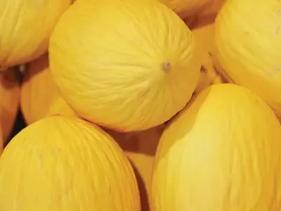 Oportunidades e Desafios da Fruticultura Brasileira no Cenário Global