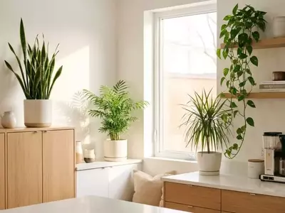 Verde na Cozinha: As Melhores Plantas para seu Espaço Culinário
