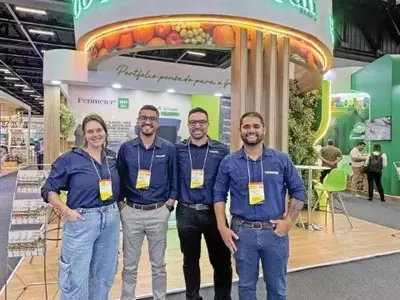 Gowan Impulsiona o Cultivo de Melão com Inovações Tecnológicas e Estratégias de Mercado