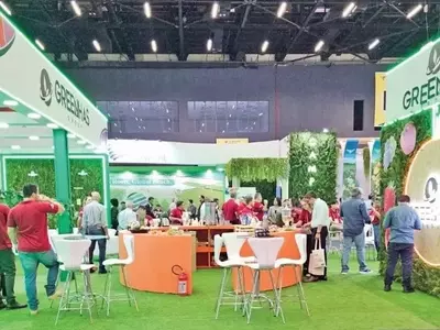 Green Has Brasil Lança Inovação para Qualidade de Frutas