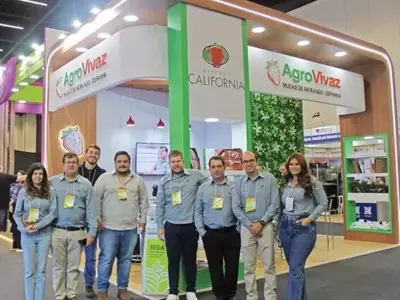 Agrovivaz Aposta em Morangos de Alta Tecnologia para Superar Desafios do Mercado