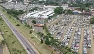 Hortitec 2026: Inovação e Sustentabilidade para o Agronegócio Hortifrutícola Brasileiro