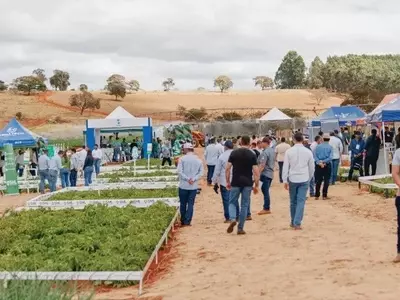 Inovatech 2026: Conectando Inovação, Pesquisa e Mercado na Horticultura