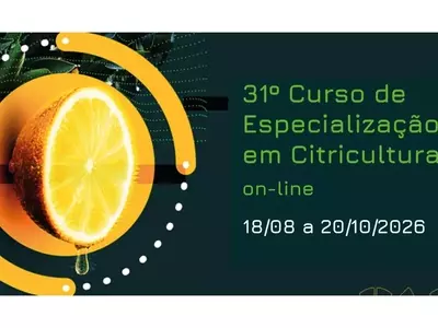 Inscrições Abertas para o 31º Curso de Citricultura do IAC: Uma Oportunidade Única de Especialização Online