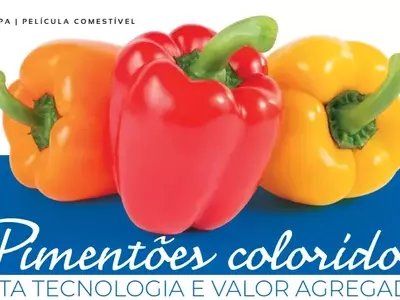 Inovação e Rentabilidade: O Crescimento dos Pimentões Coloridos no Brasil